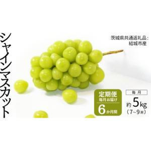ふるさと納税 ぶどう マスカット 茨城県 つくばみらい市 定期便 シャインマスカット 7〜9房(約5kg) × ６か月連続お届け 2026年8月から発送開始 （茨城県共通…
