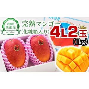 ふるさと納税 梨 和歌山県 橋本市 国城観光農園の梨(幸水)8個 ふるさと納税 梨 和歌山県 橋本市 国城観光農園の梨(幸水)8個