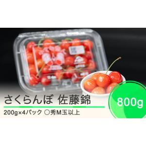 ふるさと納税 山形県 大石田町 さくらんぼ 佐藤錦 ◯秀 M玉 200g×4パック 計800g フードパック 2024年産 令和六年産果物 フルーツ 山形県産 ja-snpmx8