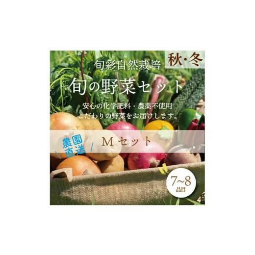 ふるさと納税 福島県 白河市 都内マルシェで人気のお野菜！ 秋冬 旬の野菜セットMサイズ(7〜8品)...