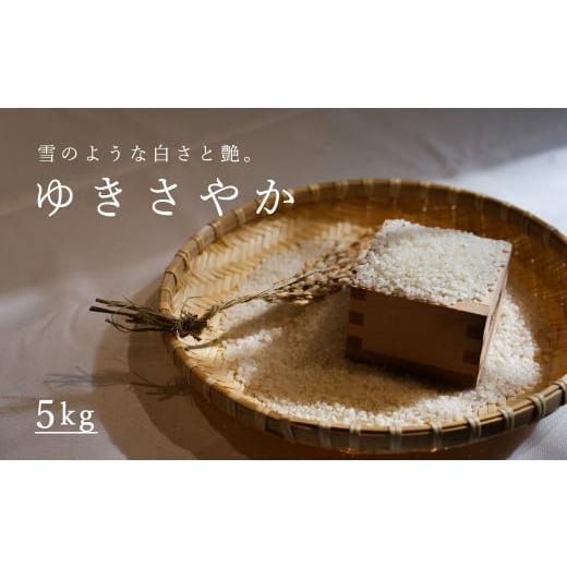 ふるさと納税 米 北海道 当麻町  北海道　農家直送 長谷川農園　ゆきさやか　令和7年産新米　5kg