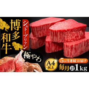 ふるさと納税 牛肉 ヒレ 福岡県 豊前市 全5回...の商品画像