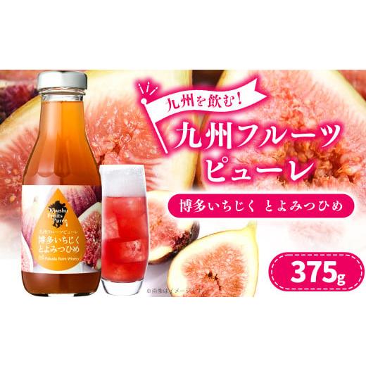 ふるさと納税 熊本県 水俣市 九州を飲む！九州 フルーツ ピューレ いちじくとよみつひめ 375g ...