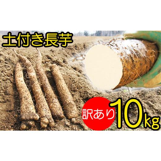 ふるさと納税 人参・大根・他根菜 岩手県 滝沢市  2025年 12月上旬より発送開始 変色しない ...