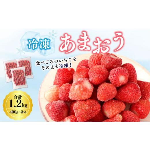 ふるさと納税 いちご 福岡県 みやま市 A194 冷凍あまおう×3袋 合計 3袋(1.2kg) 冷凍...