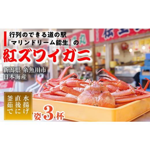 ふるさと納税 新潟県 糸魚川市 【浜茹で】紅ズワイガニ×3杯 日本海直送 紅ずわいがに 姿 新潟県糸...