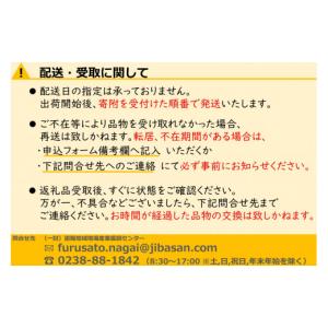 ふるさと納税 りんご 山形県 長井市 2026...の詳細画像4