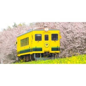 ふるさと納税 スポーツ・アウトドア 千葉県 い...の詳細画像5