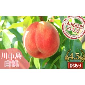 ふるさと納税 もも 青森県 南部町 先行予約 訳...の商品画像