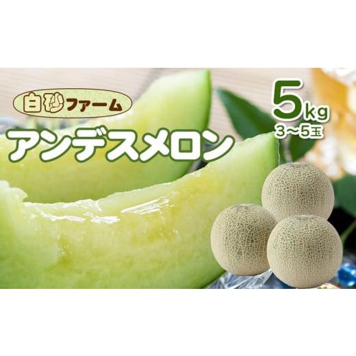 ふるさと納税 メロン メロン青肉 山形県 鶴岡市  令和8年産先行予約 アンデスメロン 約5kg (...