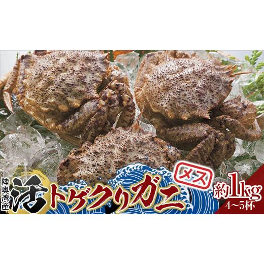 ふるさと納税 青森県 平内町 青森県 陸奥湾産 活トゲクリガニ(メス) 約1kg (4〜5杯) 【白...