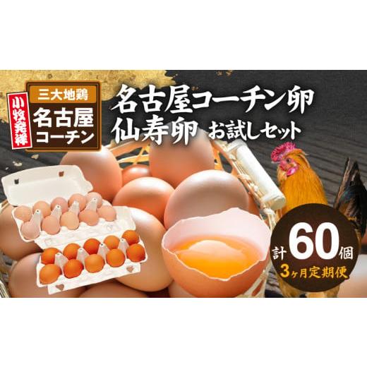 ふるさと納税 卵（鶏、烏骨鶏等） 愛知県 小牧市  3ヶ月定期便 名古屋コーチン卵・仙寿卵お試しセッ...