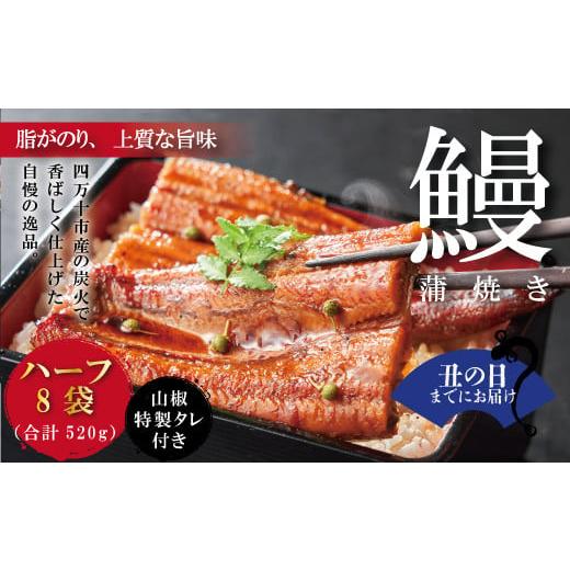 ふるさと納税 高知県 四万十市 【土用の丑の日までにお届け】24-363U．＜四万十食品＞うなぎ蒲焼...