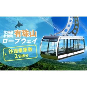 ふるさと納税 北海道 壮瞥町 [No.5724-0704]有珠山ロープウェイ(往復乗車券)2名様分