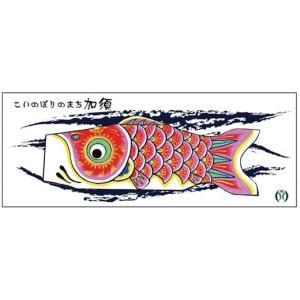 ふるさと納税 タオル・寝具 フェイスタオル 埼...の詳細画像5