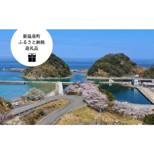 ふるさと納税 宿泊券 兵庫県 新温泉町 新温泉町居組海辺の一棟貸切宿　一九三(いぐみ)　素泊まり1泊...