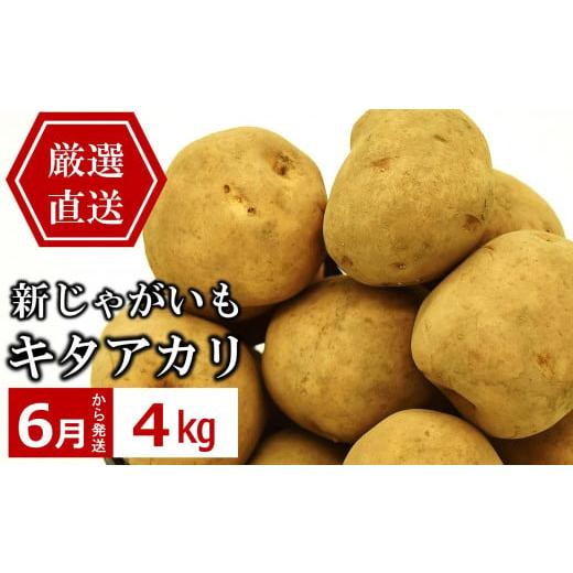 ふるさと納税 新潟県 柏崎市 今が旬！産地直送 やたらうんめぇ じゃがいも キタアカリ 4kg 水田...