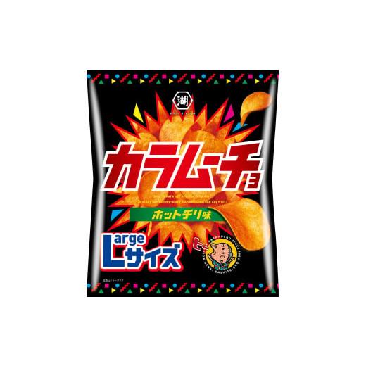 ふるさと納税 埼玉県 加須市 湖池屋のLサイズカラムーチョホットチリ味　122g×12袋