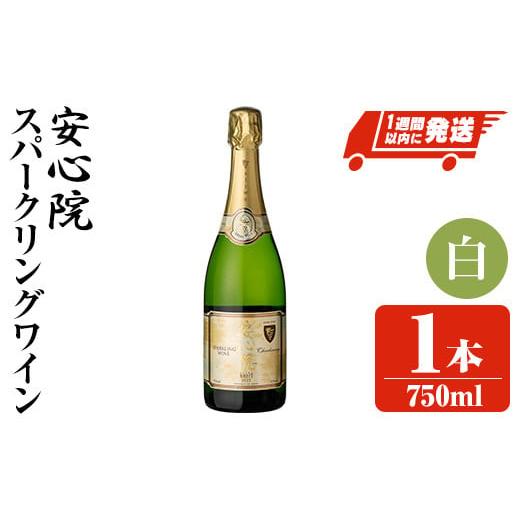 ふるさと納税 大分県 宇佐市 安心院スパークリングワイン 白(750ml)酒 お酒 ワイン 白ワイン...