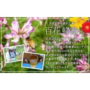 ふるさと納税 加工品等 はちみつ 福岡県 八女...の詳細画像3