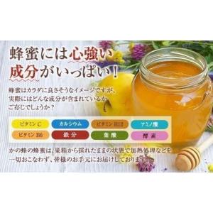 ふるさと納税 加工品等 はちみつ 福岡県 八女...の詳細画像4