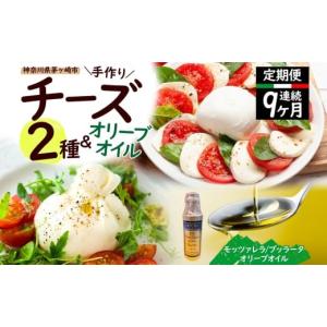 ふるさと納税 加工品等 チーズ 神奈川県 茅ヶ...の詳細画像1