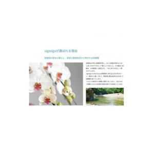 ふるさと納税 花・苗木 滋賀県 東近江市 AH...の詳細画像4