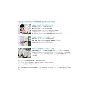 ふるさと納税 花・苗木 滋賀県 東近江市 AH...の詳細画像5