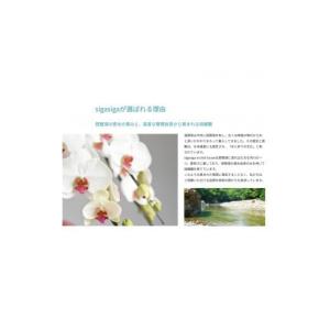 ふるさと納税 花・苗木 滋賀県 東近江市 AG...の詳細画像5