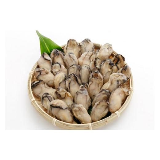 ふるさと納税 牡蠣 生牡蠣 広島県 大竹市 冷凍スチーム牡蠣 1kg｜蒸し牡蠣 冷凍 加熱用 かき ...