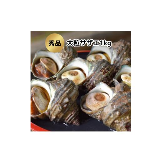 ふるさと納税 サザエ 愛知県 南知多町 秀品サザエ1kg 刺身・生食可(CAS冷凍で新鮮)約7〜13...