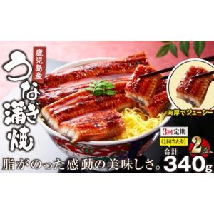 ふるさと納税 うなぎ 鹿児島県 鹿屋市 1881-3 全3回定期便 鹿児島産うなぎ 合計340g（170g×2尾） 清らかな地下水育ち 　KN021-T02