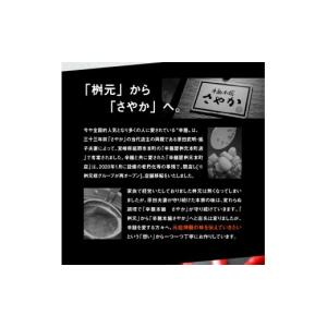 ふるさと納税 ラーメン 宮崎県 延岡市 辛麺4...の詳細画像3