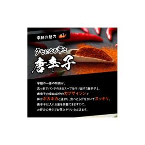 ふるさと納税 ラーメン 宮崎県 延岡市 辛麺4...の詳細画像4