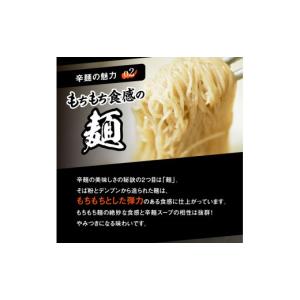 ふるさと納税 ラーメン 宮崎県 延岡市 辛麺4...の詳細画像5
