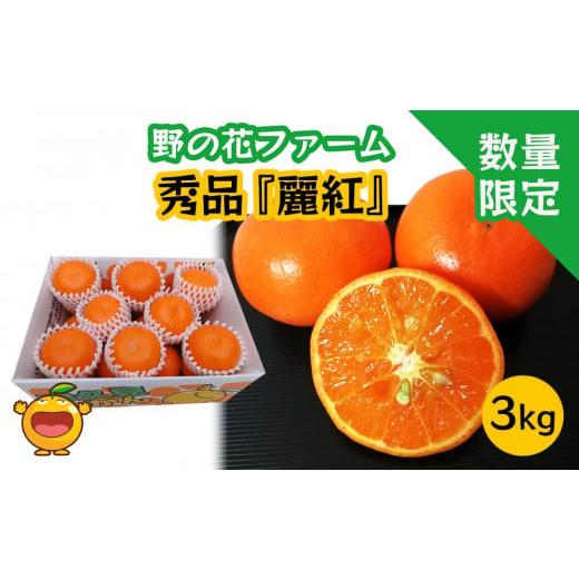 ふるさと納税 大分県 津久見市 【先行予約・数量限定】野の花ファーム 秀品 麗紅 3kg みかん ミ...