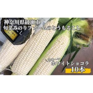 ふるさと納税 神奈川県 綾瀬市 とうもろこし 旬菜みのりファーム あま〜い ホワイトショコラ 10本｜ふるさとチョイス