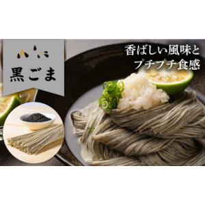 ふるさと納税 そうめん 長崎県 南島原市 12...の詳細画像4