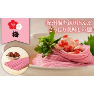ふるさと納税 そうめん 長崎県 南島原市 12...の詳細画像5
