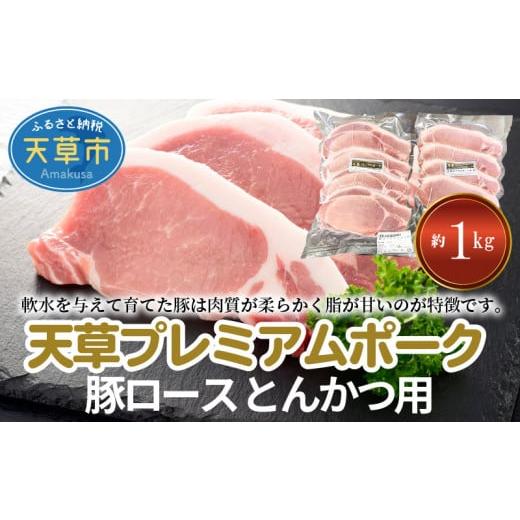 ふるさと納税 熊本県 天草市 S058-020_天草プレミアムポーク とんかつ用 ロース 8枚 約1...