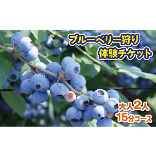 ふるさと納税 徳島県 阿波市 ブルーベリー 狩り 体験 チケット 大人 2人 15分 コース 思い出...