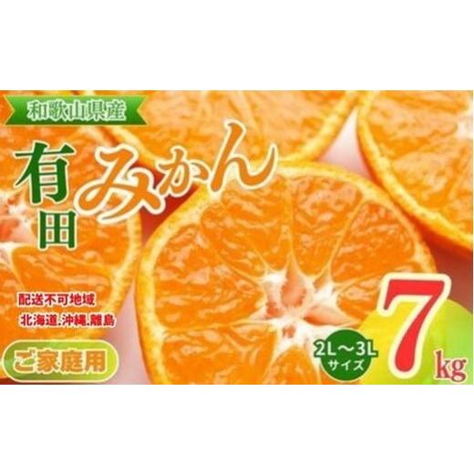 ふるさと納税 果物類 みかん 和歌山県 美浜町  ご家庭用 和歌山有田みかん約7kg(2L、3Lサイ...