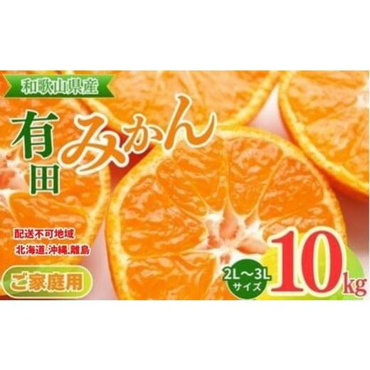 ふるさと納税 果物類 みかん 和歌山県 美浜町  ご家庭用 和歌山有田みかん約10kg(2L、3Lサ...