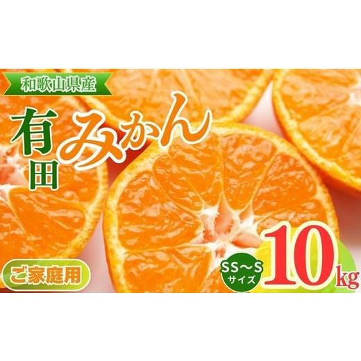 ふるさと納税 果物類 みかん 和歌山県 美浜町  ご家庭用 和歌山有田みかん約10kg(SS、Sサイ...