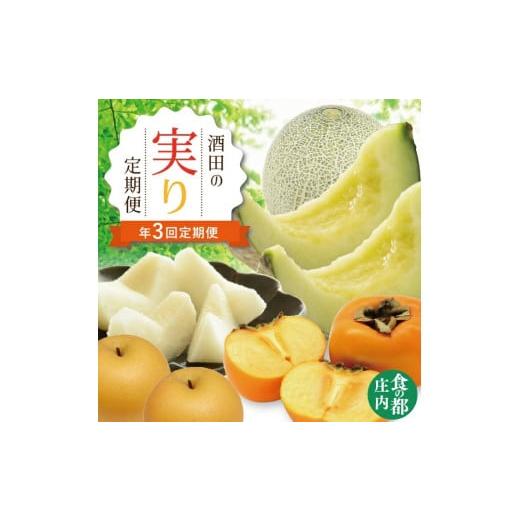 ふるさと納税 メロン メロン青肉 山形県 酒田市  3回定期便 酒田の実り定期便 2026 6月下旬...