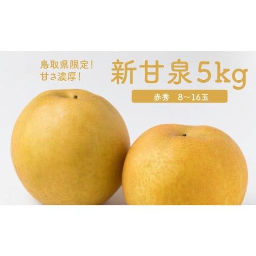 ふるさと納税 梨 鳥取県 八頭町  2026年発送分先行受付 新甘泉 5kg 8玉〜16玉 赤秀 J...
