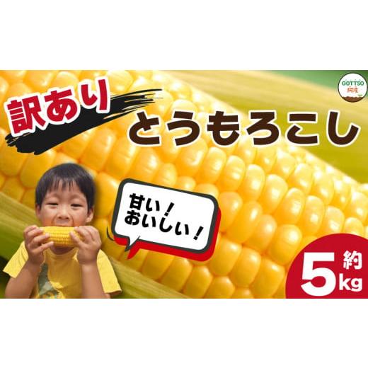 ふるさと納税 徳島県 阿波市 訳あり とうもろこし スイートコーン 5kg 朝採り 野菜 サイズ混合...