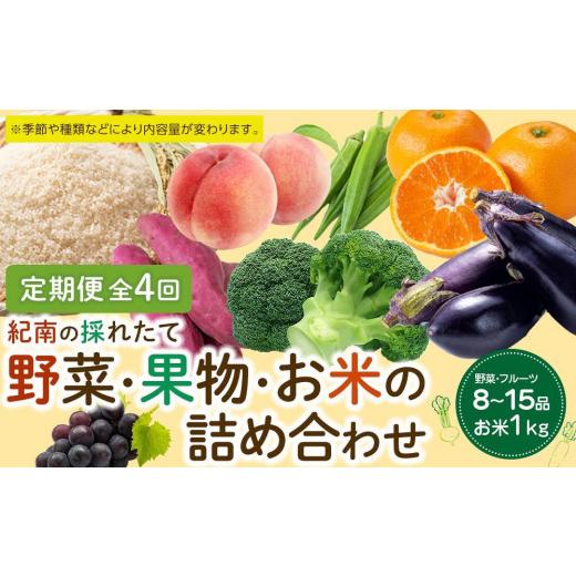 ふるさと納税 果物の詰合せ 和歌山県 上富田町  年4回お届け（3・6・9・12月） 紀南の採れたて...
