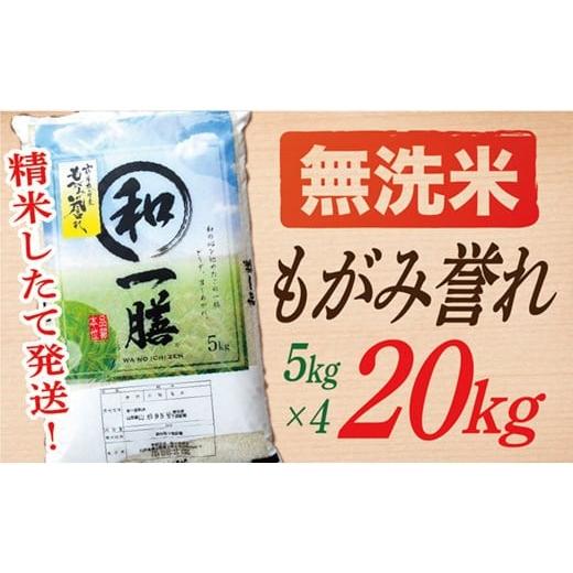 ふるさと納税 無洗米 山形県 最上町  令和7年産 無洗米 山形県産もがみ誉れ20kg