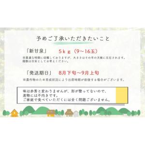 ふるさと納税 梨 鳥取県 倉吉市 新甘泉 鳥取...の詳細画像3